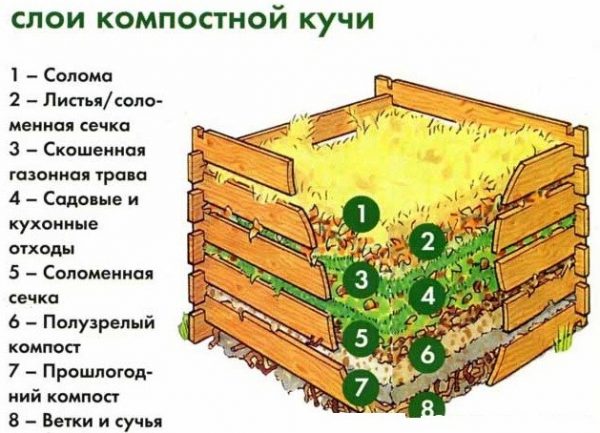 Слои на компостной куче