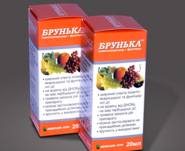 Препарат Брунька