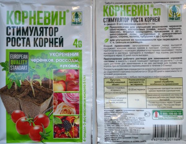 Корневин