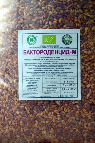 Препарат Бактороденцид