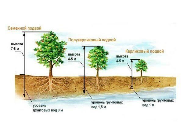 Уровень грунтовых вод