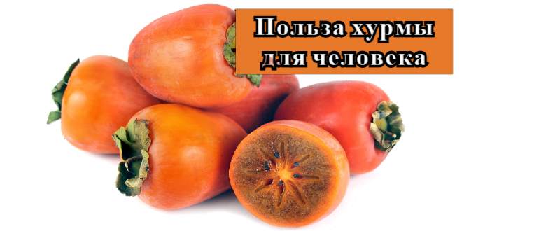 Чем хурма полезна для организма человека: как хурма поможет похудеть
