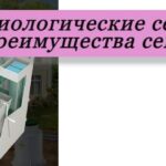 биологический септик в разрезе на фото