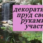 декоративный пруд на участке на фото